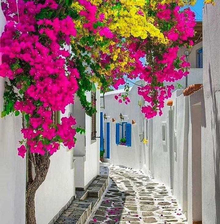 דירות Melina'S House Mykonos Town מראה חיצוני תמונה